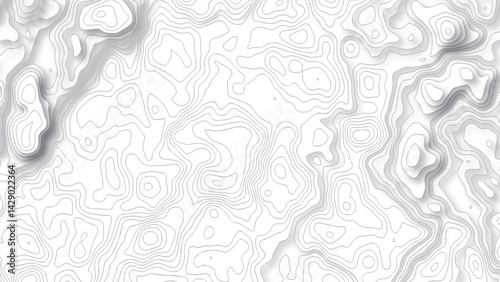 Topography white background and black line wireframe isoline location diagram world map texture design .