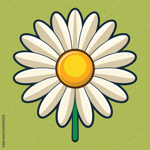 daisy flower vector illustration