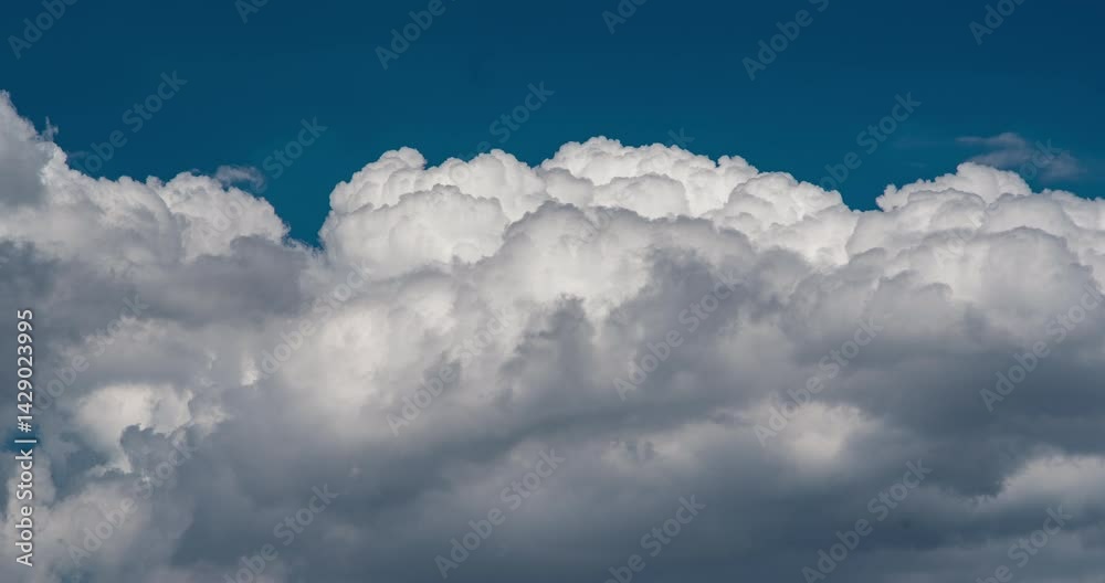 Timelapse of thick puffy clouds forming in the blue sky