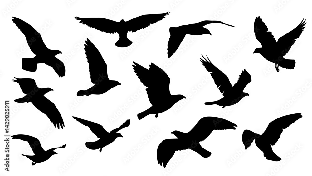 Obraz premium set of black bird silhouette vector on white background