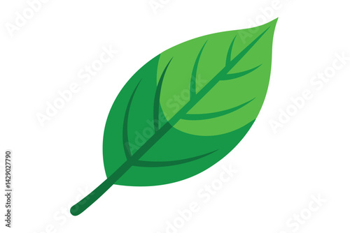 A single stylized green leaf on a white background illustration
