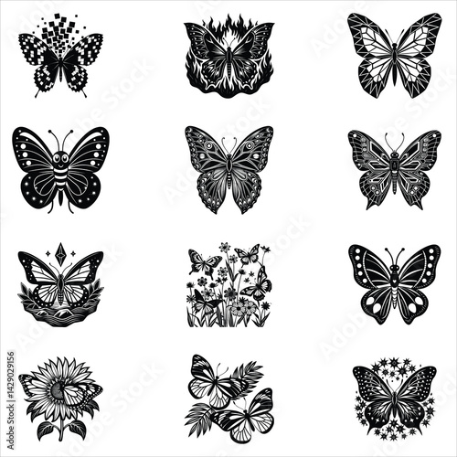 Butterfly 