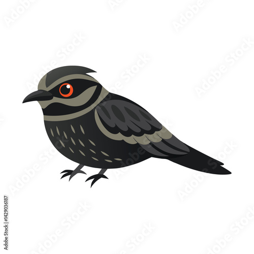 bird of prey