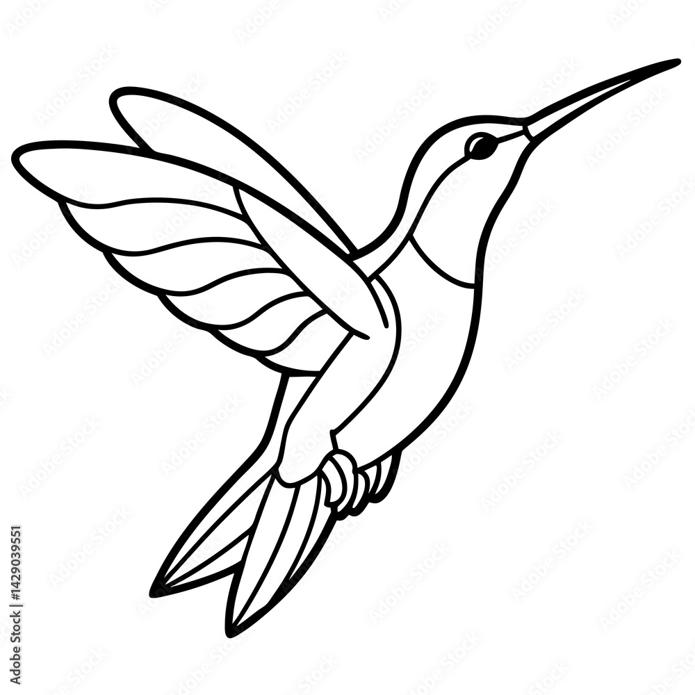 Fototapeta premium Sleek Hummingbird Outline Vector Design