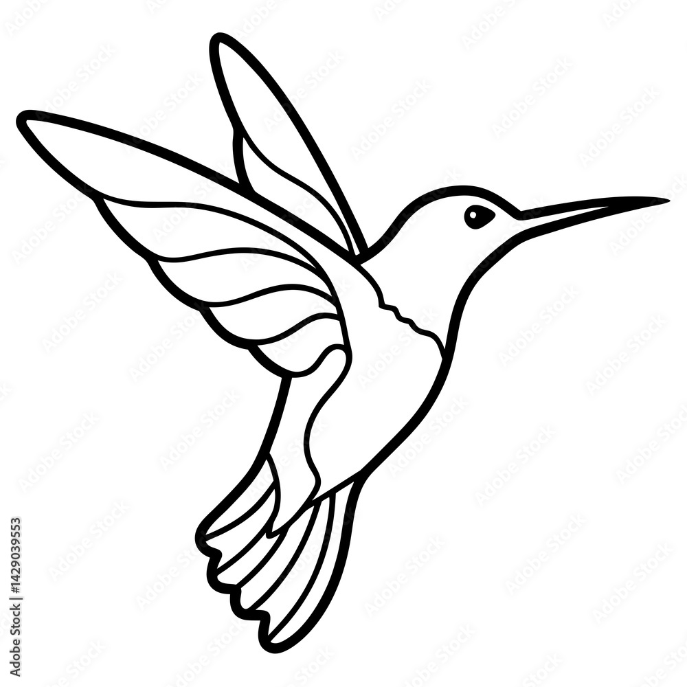 Obraz premium Sleek Hummingbird Outline Vector Design