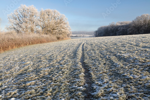 Footpath through frosty fields in winter landscape, Burwash, East Sussex, England, United Kingdom, Europe