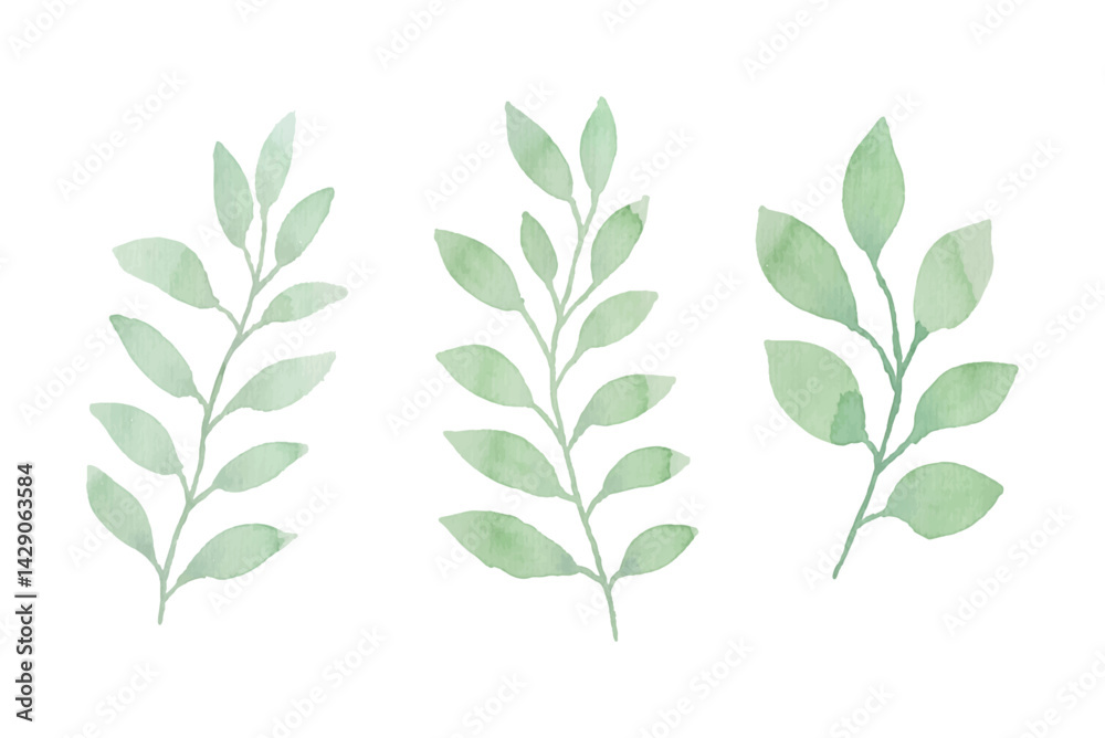 Obraz premium Watercolor leaves illustration set - green leaf branches collection for wedding, greetings, stationary, wallpapers, fashion, background. olive, green leaves, Eucalyptus etc