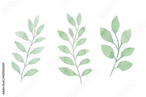 Watercolor leaves illustration set - green leaf branches collection for wedding, greetings, stationary, wallpapers, fashion, background. olive, green leaves, Eucalyptus etc