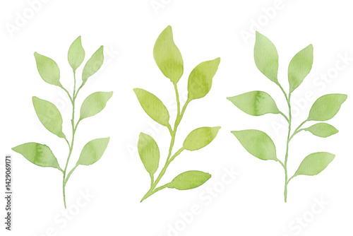 Watercolor leaves illustration set - green leaf branches collection for wedding, greetings, stationary, wallpapers, fashion, background. olive, green leaves, Eucalyptus etc