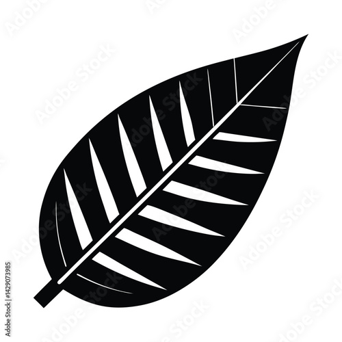 Keyboard shaped leaf on white background