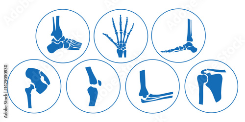 Set of Orthopedic Clinic Icons with Blue Circles on White Background Featuring Bones, Hands, Legs, Feet, Knee Joint, and Arm – Vector Illustration