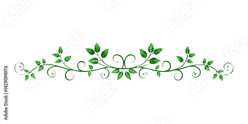 Dark green floral divider with decorative scrolls