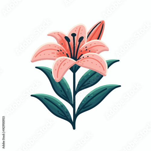 floral, lily, flower, nature, blossom, plant, white, background, spring, flora, bouquet, isolated, botanical, decoration, summer, botany, leaf, bloom, beautiful, green, closeup, petal, illustration, g