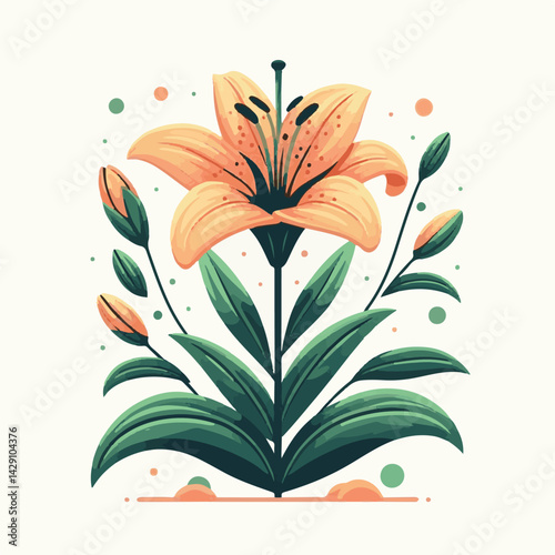 floral, lily, flower, nature, blossom, plant, white, background, spring, flora, bouquet, isolated, botanical, decoration, summer, botany, leaf, bloom, beautiful, green, closeup, petal, illustration, g