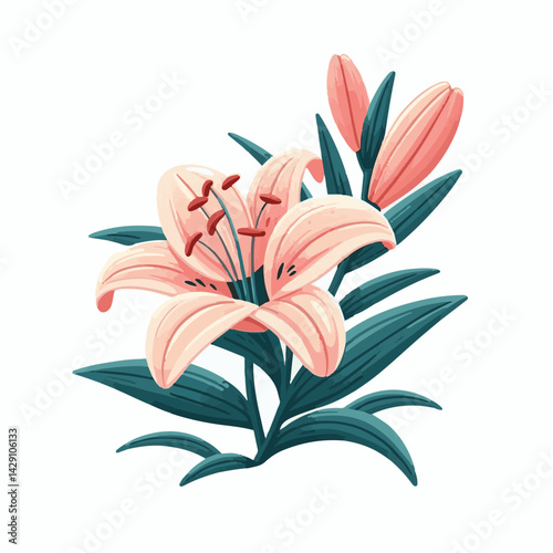 floral, lily, flower, nature, blossom, plant, white, background, spring, flora, bouquet, isolated, botanical, decoration, summer, botany, leaf, bloom, beautiful, green, closeup, petal, illustration, g