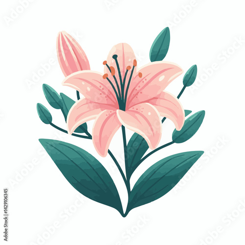 floral, lily, flower, nature, blossom, plant, white, background, spring, flora, bouquet, isolated, botanical, decoration, summer, botany, leaf, bloom, beautiful, green, closeup, petal, illustration, g