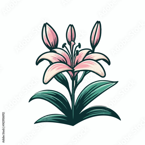 floral, lily, flower, nature, blossom, plant, white, background, spring, flora, bouquet, isolated, botanical, decoration, summer, botany, leaf, bloom, beautiful, green, closeup, petal, illustration, g