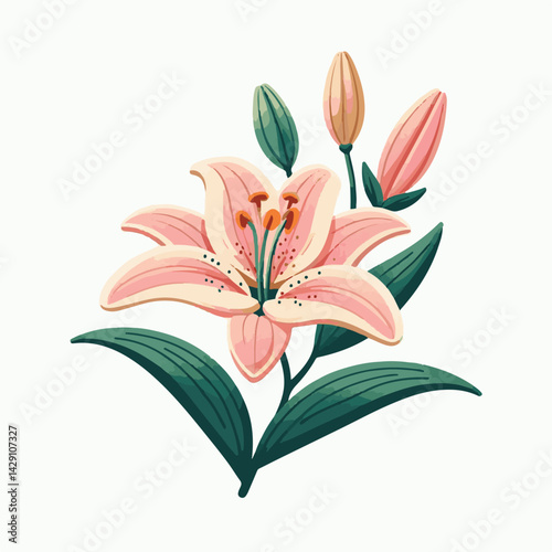floral, lily, flower, nature, blossom, plant, white, background, spring, flora, bouquet, isolated, botanical, decoration, summer, botany, leaf, bloom, beautiful, green, closeup, petal, illustration, g