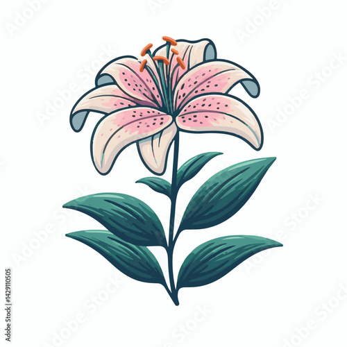 floral, lily, flower, nature, blossom, plant, white, background, spring, flora, bouquet, isolated, botanical, decoration, summer, botany, leaf, bloom, beautiful, green, closeup, petal, illustration, g