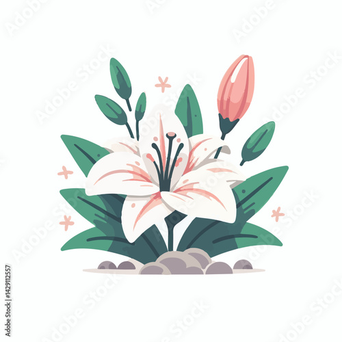 floral, lily, flower, nature, blossom, plant, white, background, spring, flora, bouquet, isolated, botanical, decoration, summer, botany, leaf, bloom, beautiful, green, closeup, petal, illustration, g