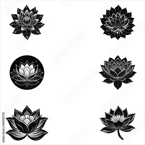 Lotus Flower 