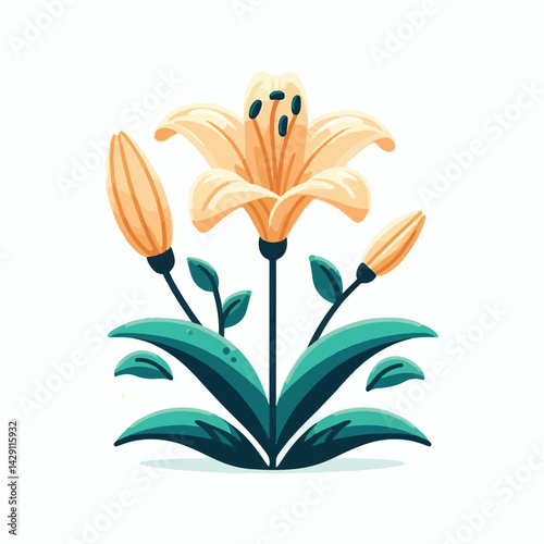 floral, lily, flower, nature, blossom, plant, white, background, spring, flora, bouquet, isolated, botanical, decoration, summer, botany, leaf, bloom, beautiful, green, closeup, petal, illustration, g