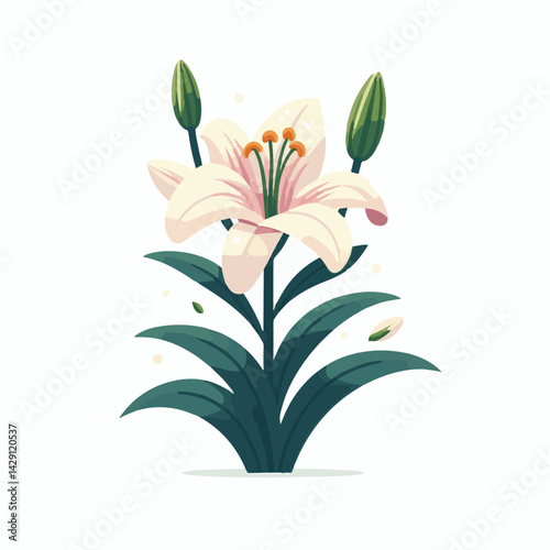 floral, lily, flower, nature, blossom, plant, white, background, spring, flora, bouquet, isolated, botanical, decoration, summer, botany, leaf, bloom, beautiful, green, closeup, petal, illustration, g