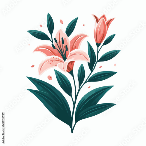 floral, lily, flower, nature, blossom, plant, white, background, spring, flora, bouquet, isolated, botanical, decoration, summer, botany, leaf, bloom, beautiful, green, closeup, petal, illustration, g