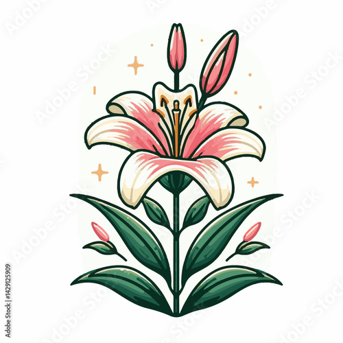 floral, lily, flower, nature, blossom, plant, white, background, spring, flora, bouquet, isolated, botanical, decoration, summer, botany, leaf, bloom, beautiful, green, closeup, petal, illustration, g