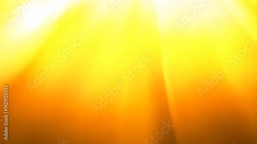 4K Light Leak Effect with Gold and Yellow Lens Flare Background Transition