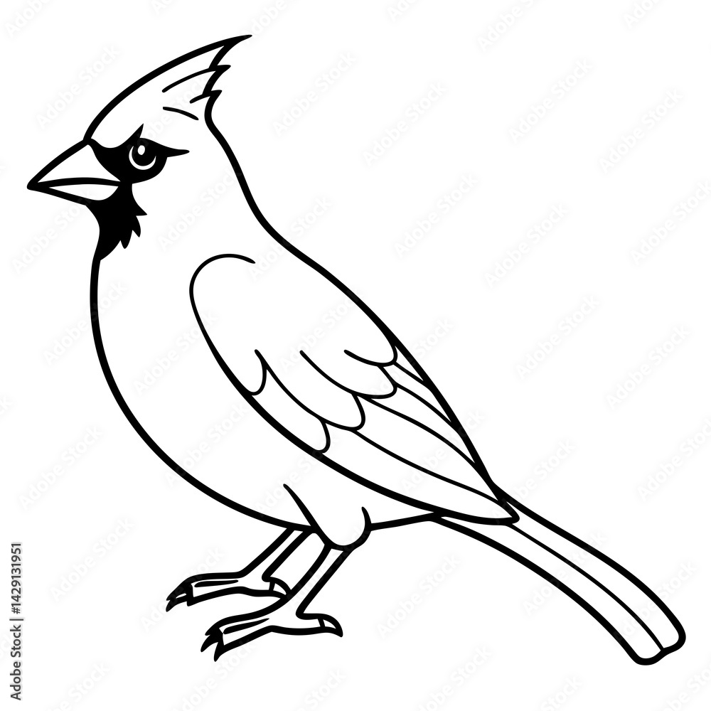 Obraz premium Cardinal Bird Continuous Line Art Vector
