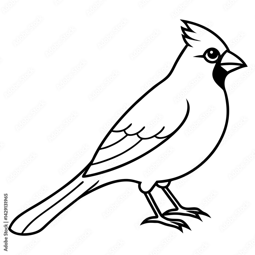 Obraz premium Cardinal Bird Continuous Line Art Vector