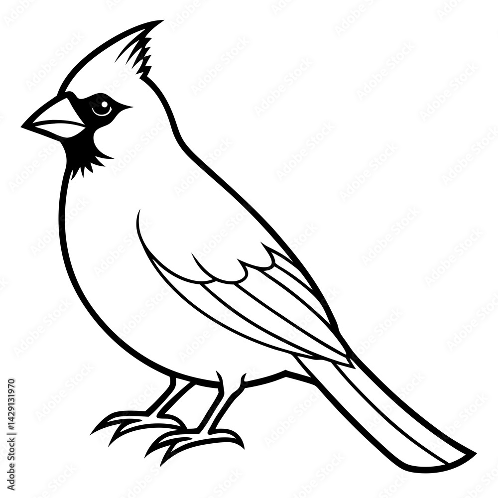 Obraz premium Cardinal Bird Continuous Line Art Vector