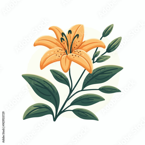 floral, lily, flower, nature, blossom, plant, white, background, spring, flora, bouquet, isolated, botanical, decoration, summer, botany, leaf, bloom, beautiful, green, closeup, petal, illustration, g