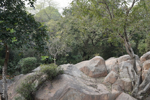An image of the Huge boulders looking like a small hill to climb in one of the trails of a trek during the monsoon in the Aravalli Hills of Delhi in India.