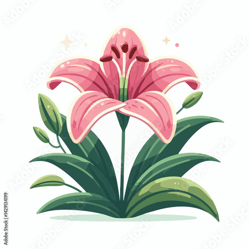 floral, lily, flower, nature, blossom, plant, white, background, spring, flora, bouquet, isolated, botanical, decoration, summer, botany, leaf, bloom, beautiful, green, closeup, petal, illustration, g