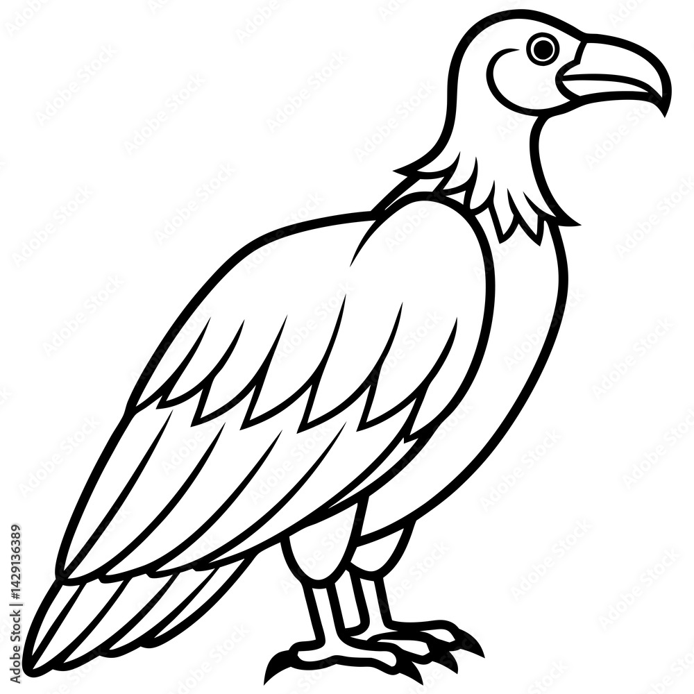 Fototapeta premium Elegant Condor Outline Vector Design