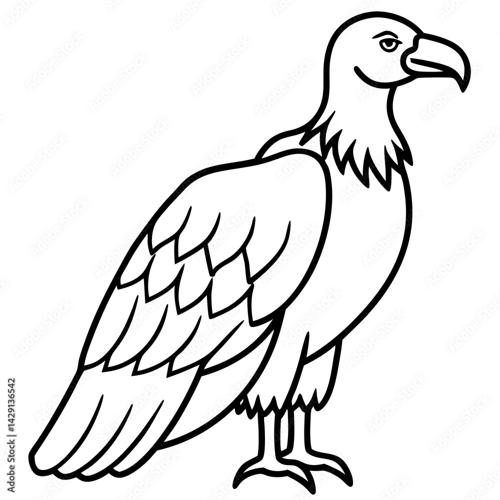 Fototapeta premium Elegant Condor Outline Vector Design