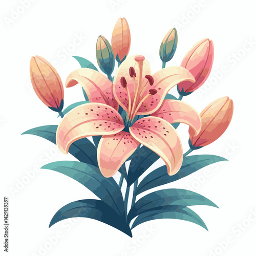 floral, lily, flower, nature, blossom, plant, white, background, spring, flora, bouquet, isolated, botanical, decoration, summer, botany, leaf, bloom, beautiful, green, closeup, petal, illustration, g