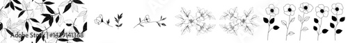 Vector illustration of black and white floral designs showcasing various plant elements for decorative purposes