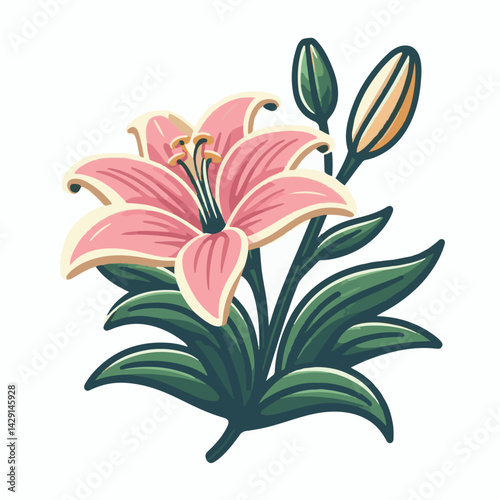 floral, lily, flower, nature, blossom, plant, white, background, spring, flora, bouquet, isolated, botanical, decoration, summer, botany, leaf, bloom, beautiful, green, closeup, petal, illustration, g
