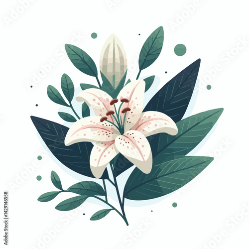 floral, lily, flower, nature, blossom, plant, white, background, spring, flora, bouquet, isolated, botanical, decoration, summer, botany, leaf, bloom, beautiful, green, closeup, petal, illustration, g