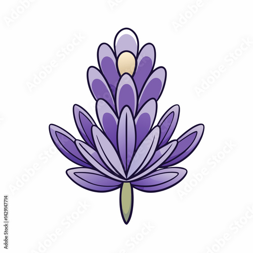 pink lotus flower
