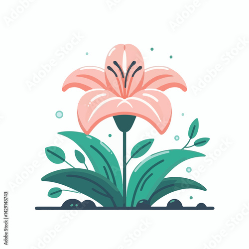 floral, lily, flower, nature, blossom, plant, white, background, spring, flora, bouquet, isolated, botanical, decoration, summer, botany, leaf, bloom, beautiful, green, closeup, petal, illustration, g