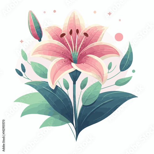 floral, lily, flower, nature, blossom, plant, white, background, spring, flora, bouquet, isolated, botanical, decoration, summer, botany, leaf, bloom, beautiful, green, closeup, petal, illustration, g