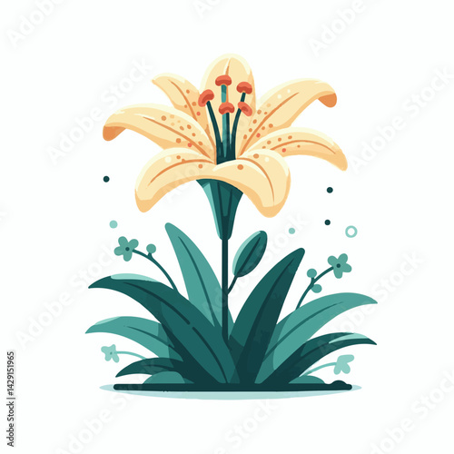 floral, lily, flower, nature, blossom, plant, white, background, spring, flora, bouquet, isolated, botanical, decoration, summer, botany, leaf, bloom, beautiful, green, closeup, petal, illustration, g