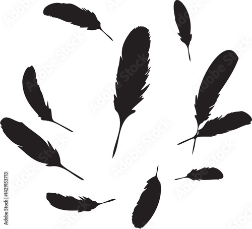 Set of black feather silhouettes graphic vector