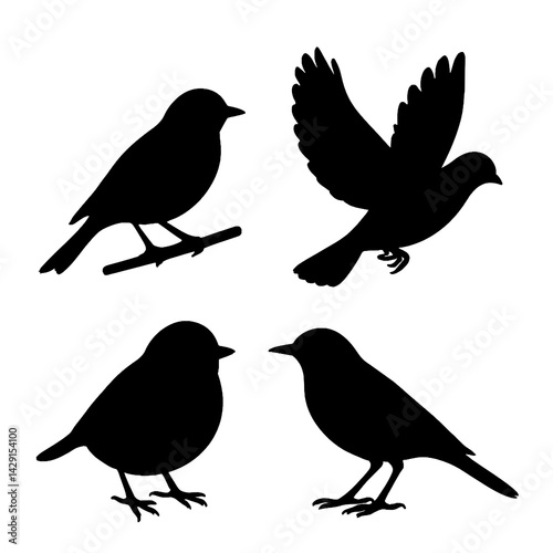 Wallpaper Mural Set of Bird Silhouettes Vector Illustration Torontodigital.ca