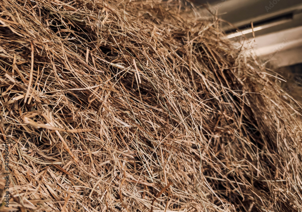Hay Bale Close Up for Animal Feed and Rural Farm Life with Horses and Livestock Hay Bale Close Up for Animal Feed and Rural Farm Life with Horses and Livestock