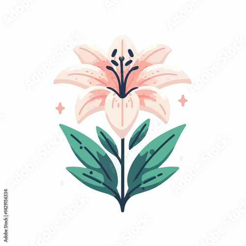 floral, lily, flower, nature, blossom, plant, white, background, spring, flora, bouquet, isolated, botanical, decoration, summer, botany, leaf, bloom, beautiful, green, closeup, petal, illustration, g